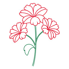 geranium macrorrhizum line art on white background