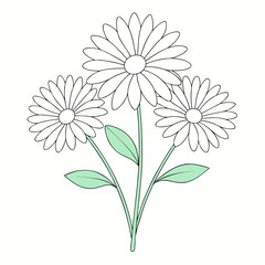 gerbera daisy off white line art on white background