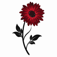 gerbera jmesonii silhouette  on white background