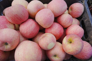 Close up of a red apple