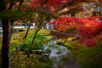 Autumn foliage at Eikando Temple, a famous tourist attraction in Kyoto, Japan.