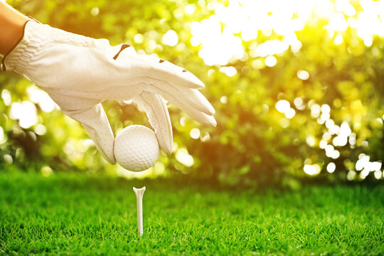 Player putting golf ball on tee at green course, closeup