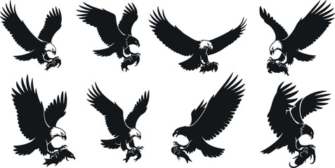 Eagle illustration, flying eagle vector, hunting eagle pose, black and white eagle, bird of prey, eagle silhouette, dynamic sketch