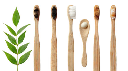 Modern Flat Lay Bamboo Toothbrush Collection with Sleek Lines on Transparent Background