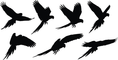 Flying parrot silhouettes, tropical bird shapes, exotic avian motion, black parrot icons, wildlife vector, bird anatomy, isolated flight poses