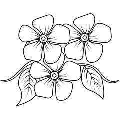  floral background with white periwinkle flowers
