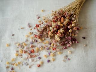 A bundle of dried wildflowers and seeds scattered on light fabric, warm indoor light and selective focus, rustic still life for decor projects.