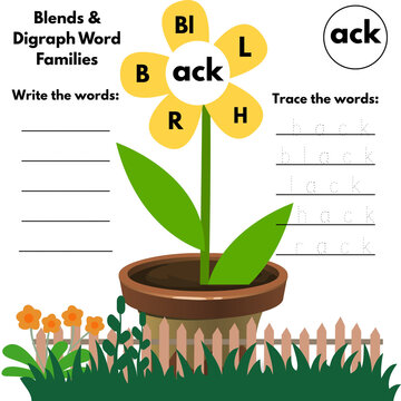 Engaging educational worksheet for children learning blends and digraph word families with interactive flower activity for early literacy development