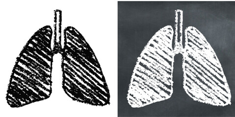 Chalk Handdrawn Human Lungs Vector Textured chalk hand-drawn vector illustration of the human lungs. Perfect for medical, biology, education, health, and anatomy