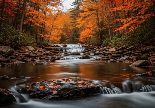 Scenic autumn forest stream with cascading waterfalls and vibrant orange foliage