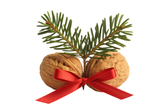 Festive Christmas walnut decor with red ribbon and evergreen sprig, perfect for holiday greeting cards and seasonal designs