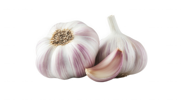 Two garlic bulbs and a clove isolated on transparent background, closeup shot