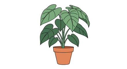 Obraz premium A simple and stylish illustration of a vibrant green houseplant with broad, heart-shaped leaves in a classic terracotta pot.