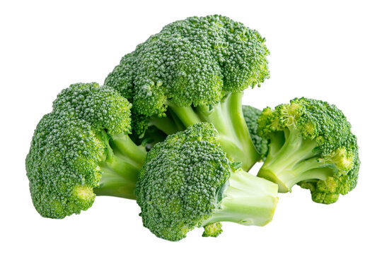 Fresh vibrant green broccoli florets raw vegetable healthy food