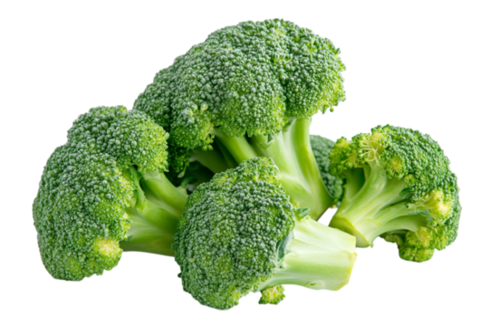 Fresh vibrant green broccoli florets raw vegetable healthy food