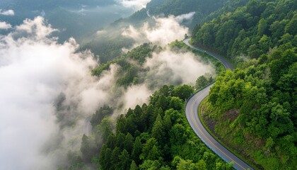 A stunning aerial perspective of a serpentine road navigating through a dense, lush green mountain forest enveloped in ethereal morning mist