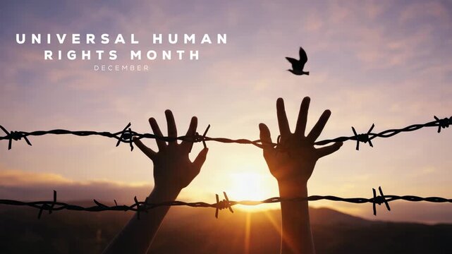 Universal human rights month. Advocating Dignity, Liberty, and Social Justice. human rights concept video.