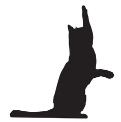 Cat Silhouette Reaching Up, Isolated on White Background.