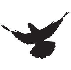 Flying Dove Silhouette, Isolated on White Background.
