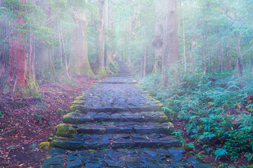 熊野古道大門坂