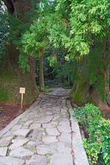 熊野古道大門坂