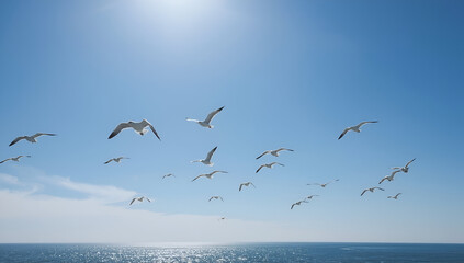 Flock of birds soaring over ocean clear summer sky background nature photography