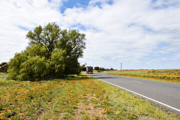 Outback Victorian Highway. October 7, 2025.