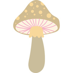 A Light Brown Mushroom With Beige Spots On Its Cap And Pink Gills On A Transparent Background Detailed Illustration