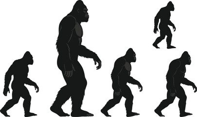 Gorilla silhouette comparison, evolution stages, muscular ape figure, black vector design, size progression, wild animal pose, primal illustration