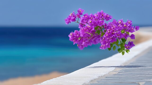 Vibrant Pink Bougainvillea Flowers Bloom Against a Blurry Blue Ocean and Sandy Beach Under Bright Sunlight
