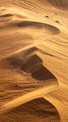 Close-up of undulating sand dunes, sculpted by wind, under warm sunlight with swirling textures
