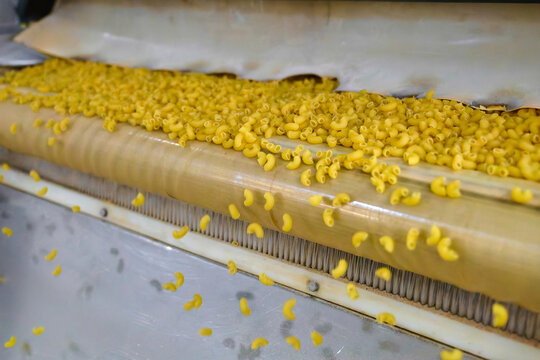 Pasta is crafted in a lively manufacturing plant, showcasing vibrant colors and intricate processes involved in production