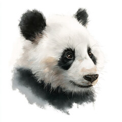 Obraz premium Watercolor Panda Illustration