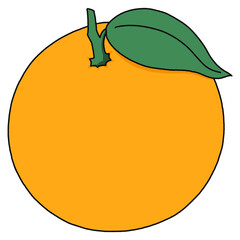 Cute Orange Cartoon - Line Color