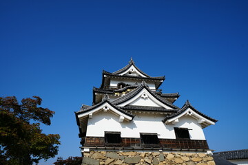 Fototapeta premium 彦根城