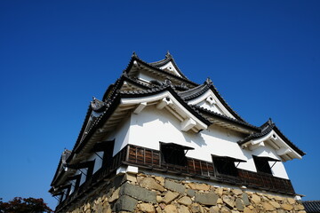 Naklejka premium 彦根城