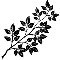 Black silhouette of a leafy branch on a white background isolated on white background