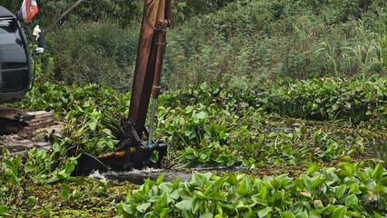 Excavator dredgers transport water hyacinth in river.