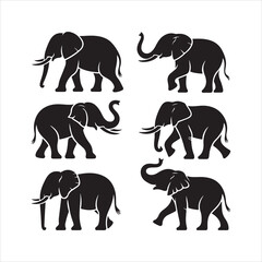 elephant vector silhouette, elephant silhouette set, elephant collection, wild elephant vector, elephant family, african elephant, asian elephant, jungle elephant vector, walking elephant, majestic el © Rasel