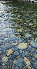 Obraz premium Clear River Water Flowing Over Smooth Colorful Pebbles and Rocks on the Riverbed.