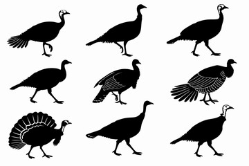 Turkey bird silhouette vector pack isolated on white background