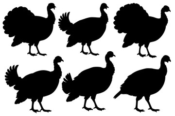 Turkey bird silhouette vector pack isolated on white background