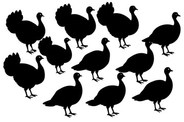 Obraz premium Turkey bird silhouette vector pack isolated on white background