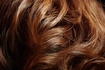 Master the Art of Hair Stying: Step-by-Step Tutorial for Creating Stunning Loos and Techniques for All Hir Types and Occasions