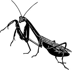 silhouette of a praying mantis svg