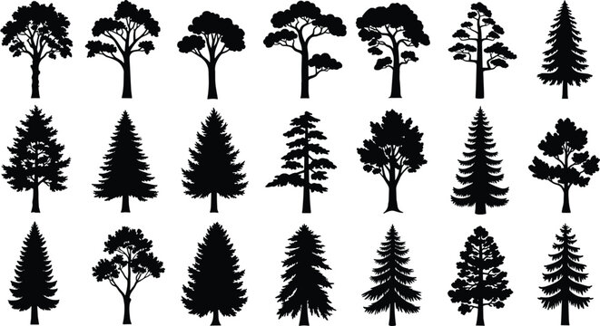 ree species silhouette collection, diverse botanical vector icons, deciduous and conifer shapes, forest design elements set, flat vector illustration