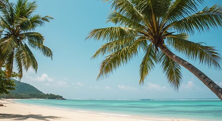 Obraz premium Tropical Paradise Beach with Palm Trees and Turquoise Ocean.