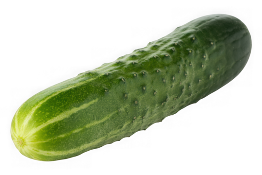 Fresh green pickle cucumber isolated on transparent background