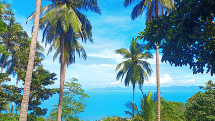 Obraz premium Coconut palm trees on blue sea background, beautiful exotic tropical island landscape top view, mountain jungle, turquoise ocean water, green palm leaves, sunny day, summer holidays, vacation, travel