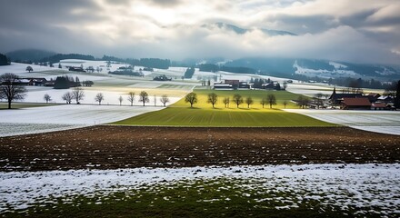 Winter Landscape with Snow-Covered Fields and a Row of Trees.